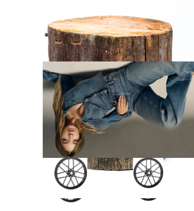 Logs